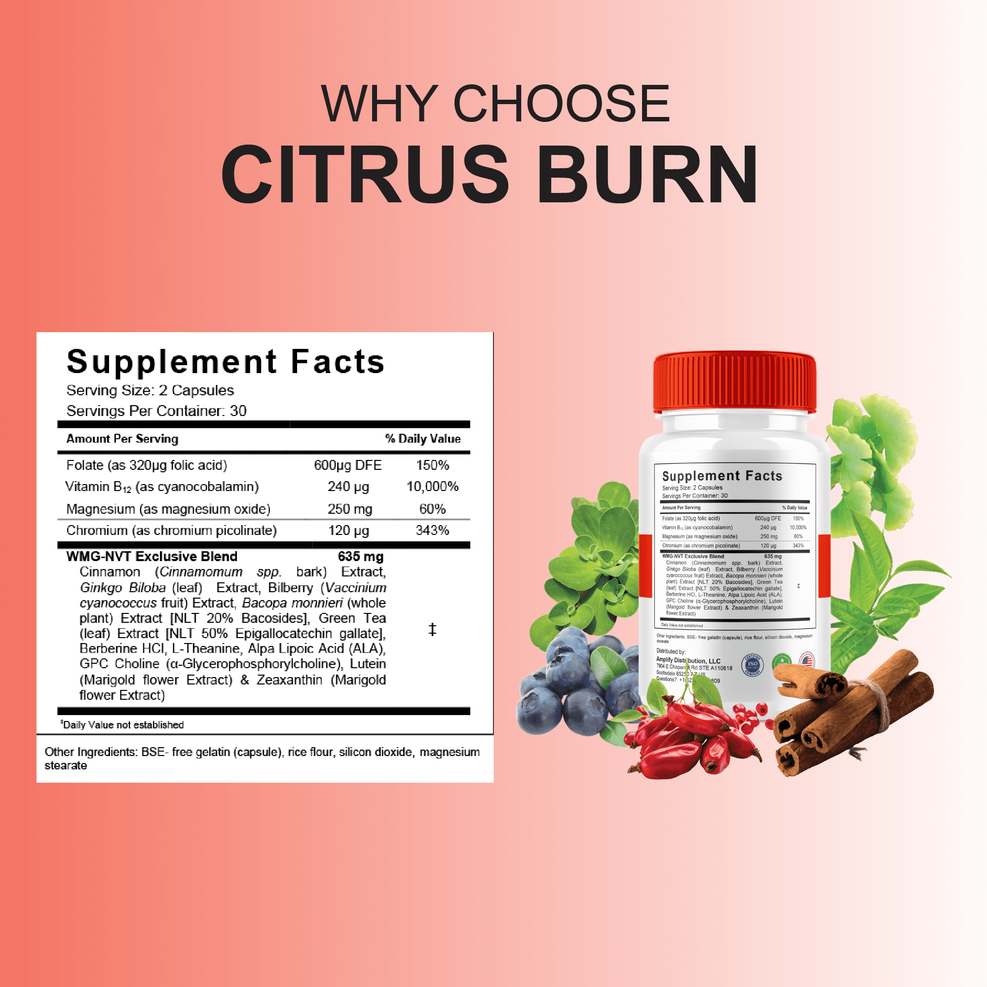 (5 Pack) Citrus Burn Weight Management Capsules, CitrusBurn Advanced Daily Health Formula Pills (300 Capsules)