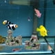 thumbnail image 2 of BRIGHTFUFU 2pcs Aquarium Decoración de rocas artificiales Fish Tank Mossy Small Mountain Model Cave Mountain Decor, 2 of 8