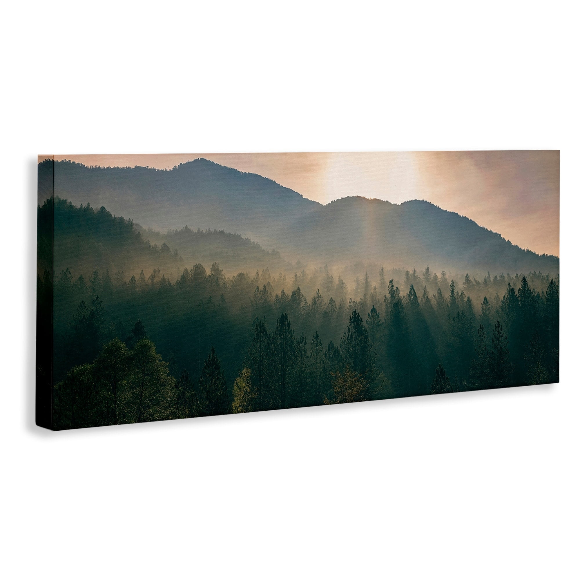 Stupell Industries Morning Sun over Misty Tree Forest Landscape,17 x 40,Designed by Dora Artemiadi