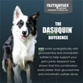 thumbnail image 6 of Nutramax Dasuquin for Small to Medium Dogs, Joint Health Supplement, Contains Glucosamine for Dogs, Plus Chondroitin, ASU and More, Supports Healthy Joints, Chewable Tablets, 150 Count, 6 of 11