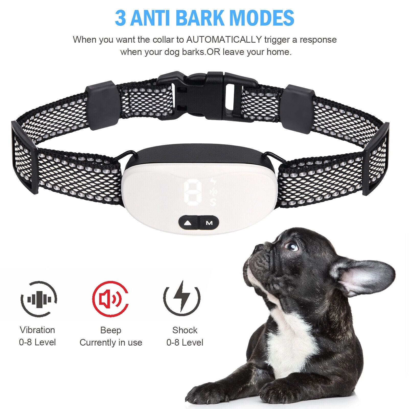 Anti bark collar pets at home best sale