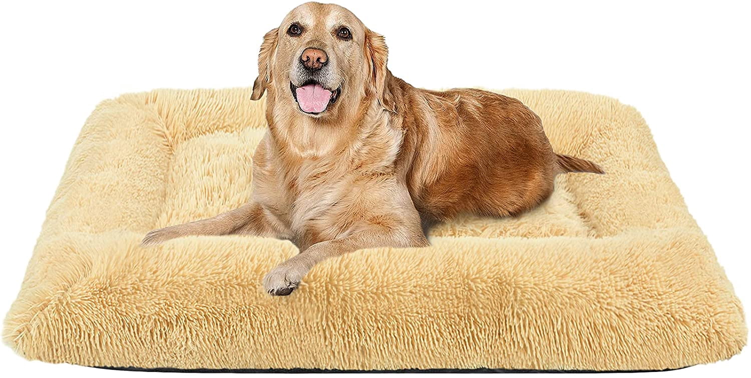 homemade dog treats no bake no pumpkin