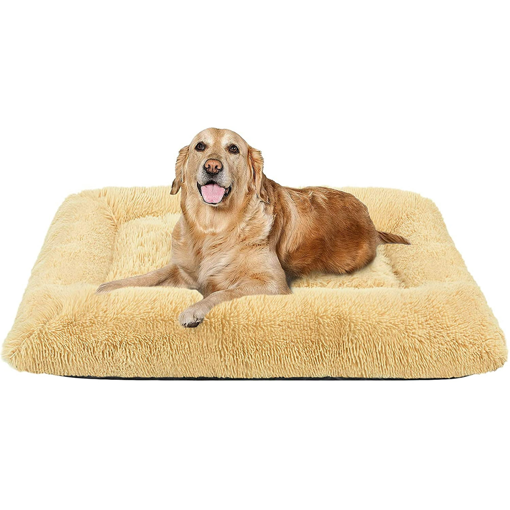 Dog bed for 36 inch crate discount