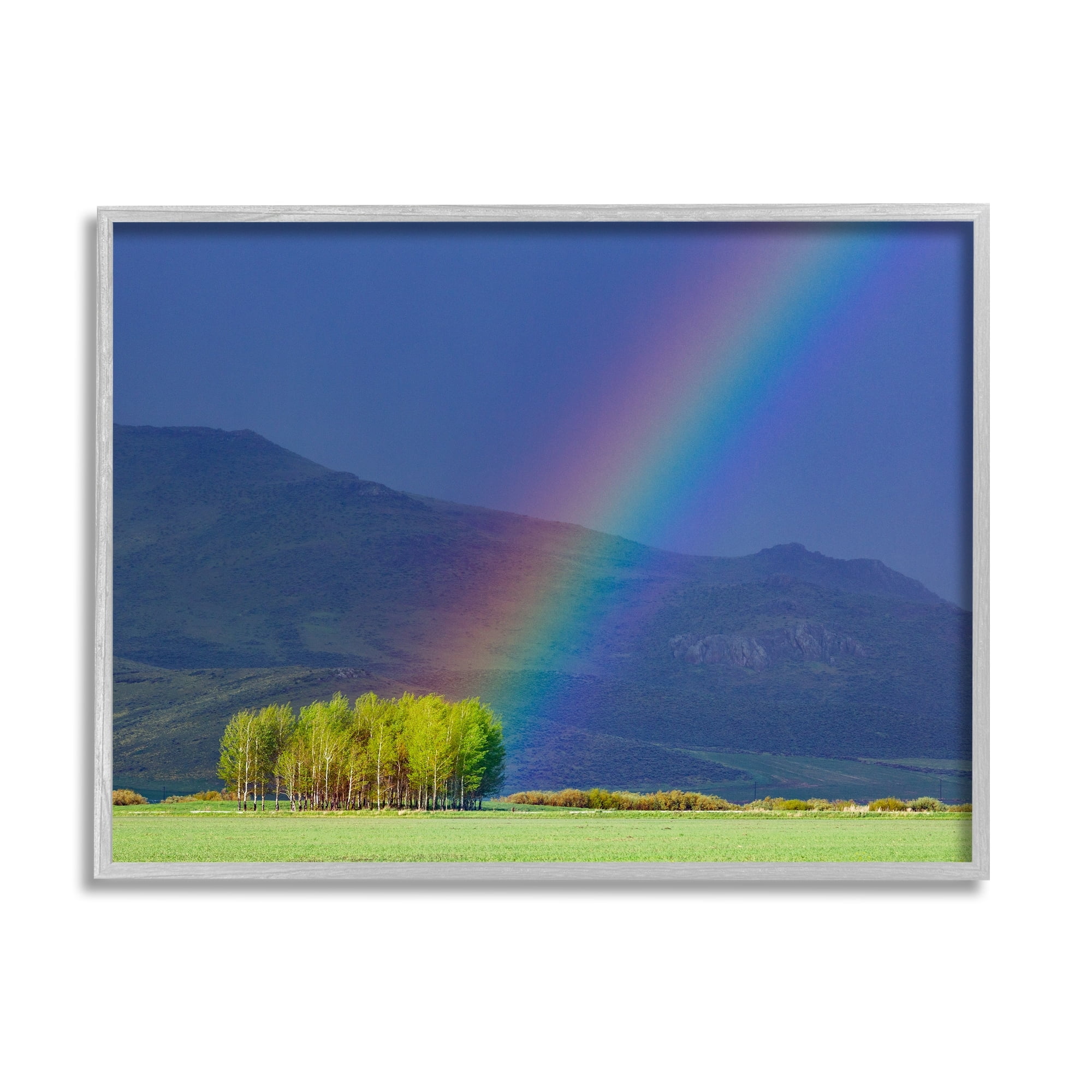 Stupell Industries Uplifting Rainbow Rays Tree Grove Mountain Landscape Photograph Gray Framed Art Print Wall Art, Design by Steve Smith