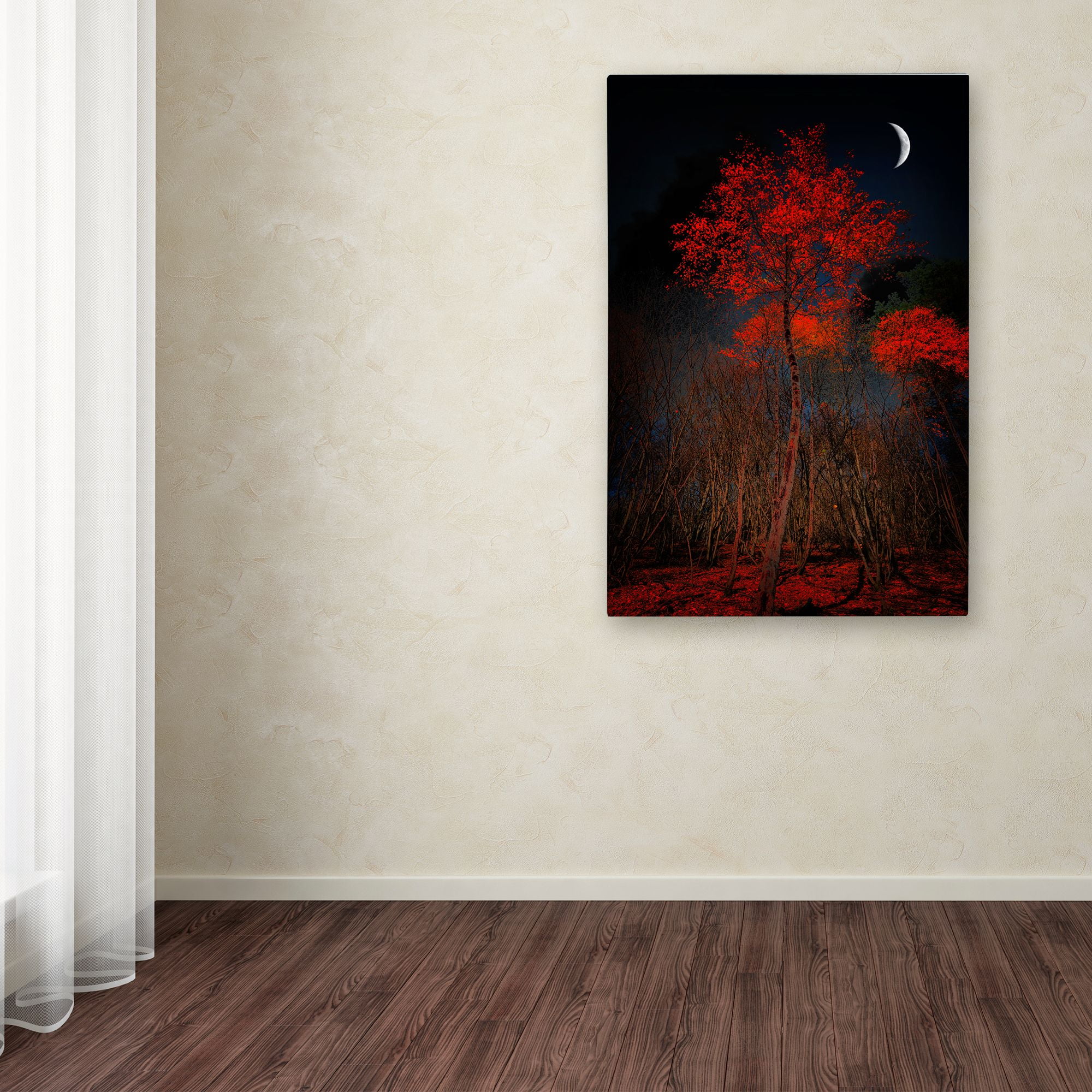 Trademark Fine Art "The Why" Canvas Art by Philippe Sainte-Laudy