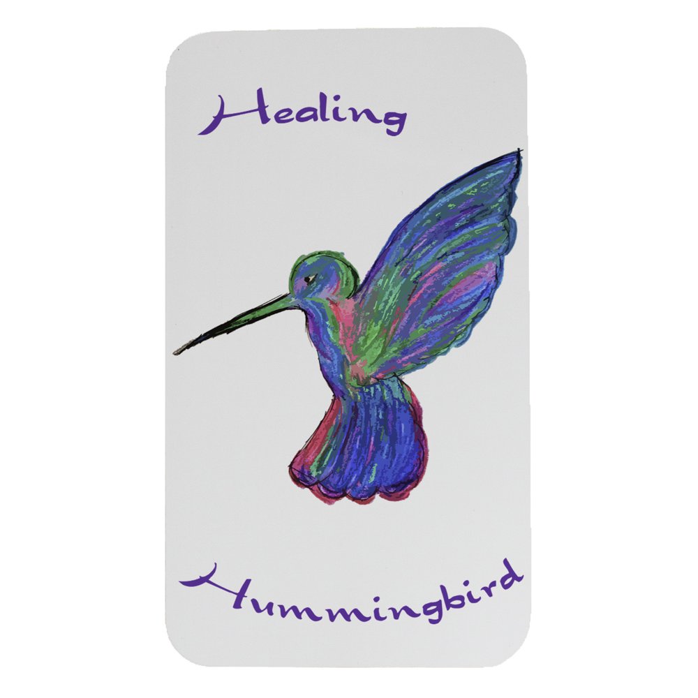 Healing Hummingbird Screen Door Screen Saver Set Made In USA