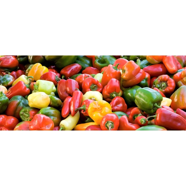 150 Rainbow Bell Pepper Seeds - Red, Green, Yellow, Orange, Purple