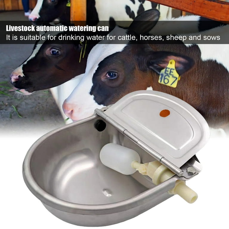 Stainless Steel Automatic Heated Water Bowl with Float Valve Water Trough  Pet Thermal-Bowl for Livestock Cattle Dog Goat Pig Horse