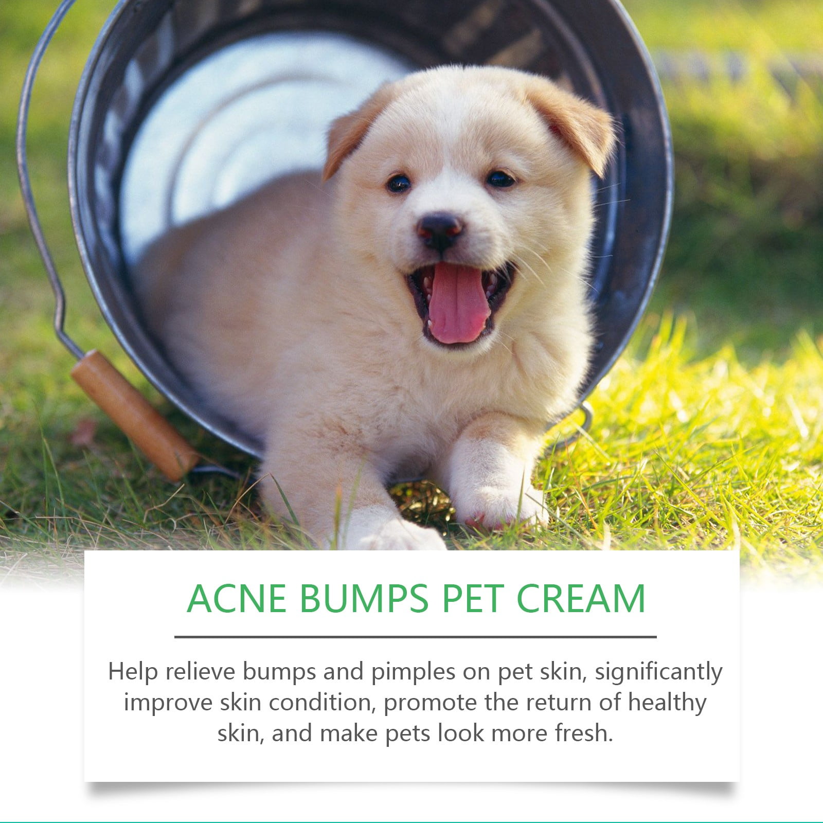 Acne Bumps Pet Cream Pet Care Cream Lump Relief Cream Help Bumps And Pimples On Pet Skin