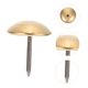thumbnail image 5 of Phenofice 50Ud Clavos Decorativos Para Sofá Y Muebles Hechos De Duradero Y, 5 of 8
