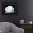 thumbnail image 3 of Trademark Fine Art 'White Rose II' Canvas Art by Kurt Shaffer, 3 of 4