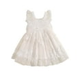 thumbnail image 2 of Musuos Toddler Girls Summer Princess Dress 6M 12M 24M 3Y 4Y Sleeveless 3D Flowers Cute Tulle A-Line Dress with Butterfly Wing, 2 of 10