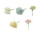 thumbnail image 3 of Ramo de Flores Artificiales Inteprter 135 Cabezas Decoración Verde, 3 of 6