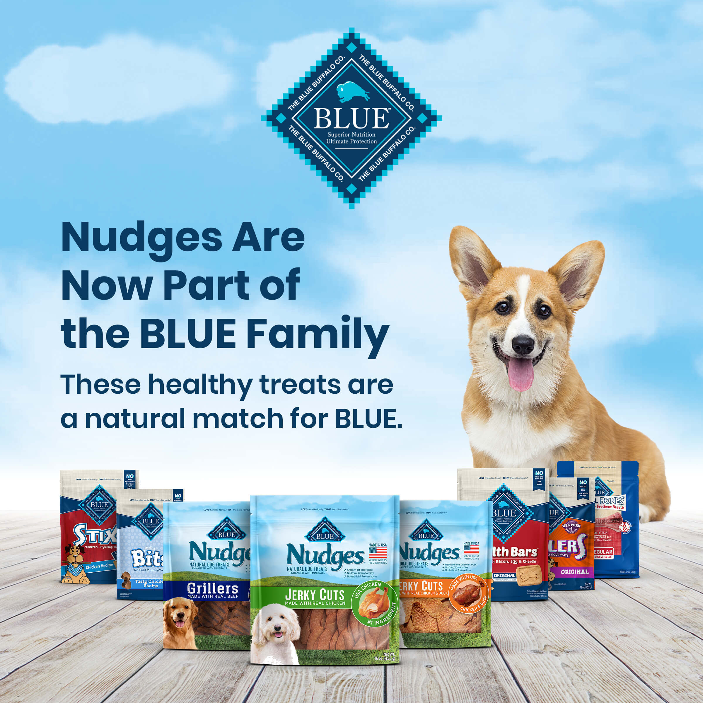 Blue Buffalo Nudges Jerky Cuts Natural Dog Treats, Chicken and Duck, 16oz Bag - image 2 of 3