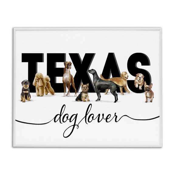 Stupell Industries Eclectic Texas for Dog Lovers Family Favorite Pets White Framed Giclee Art, 20 x 16, by Ziwei Li