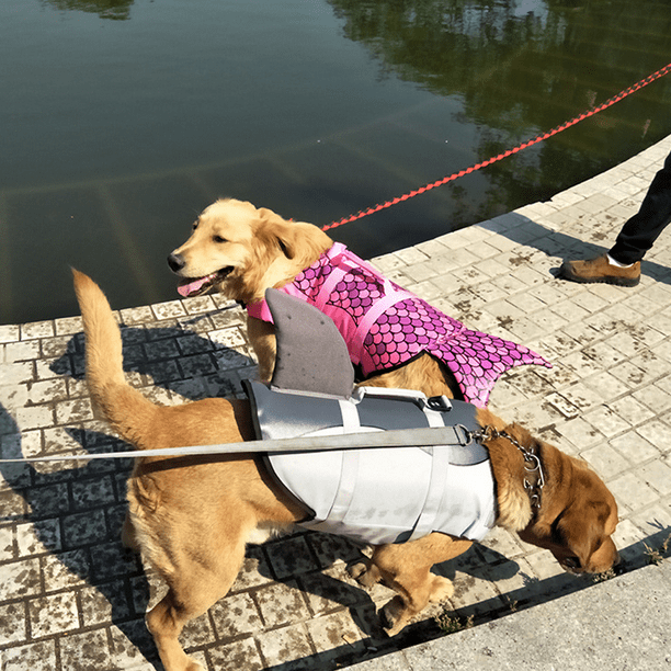 Dog life jackets walmart cheap canada