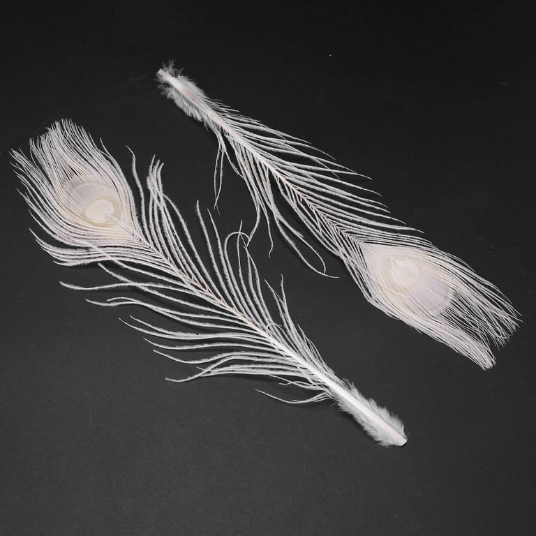 50Pcs Wholesale Natural Real Peacock Feathers for Decoration