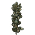 thumbnail image 1 of Distinctive Designs DW-1611 Green with Gold Laurel Leaf x 30 with Pods - Pack of 6, 1 of 1