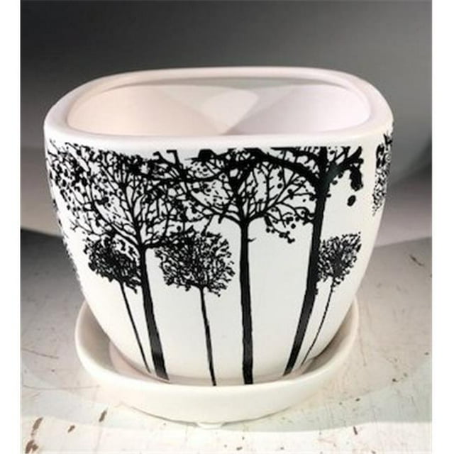 Bonsai Boy L383p Tree Silhouette Bonsai Pot - Square