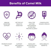 Camel Milk Powder Camelicious 480g Box US Edition(24 Packets x 20g each) Non-GMO, Gluten Free Low Lactose Alternative Dry Milk Powder - Flash Pasteurized Powdered Camel Milk Longer Shelf Life