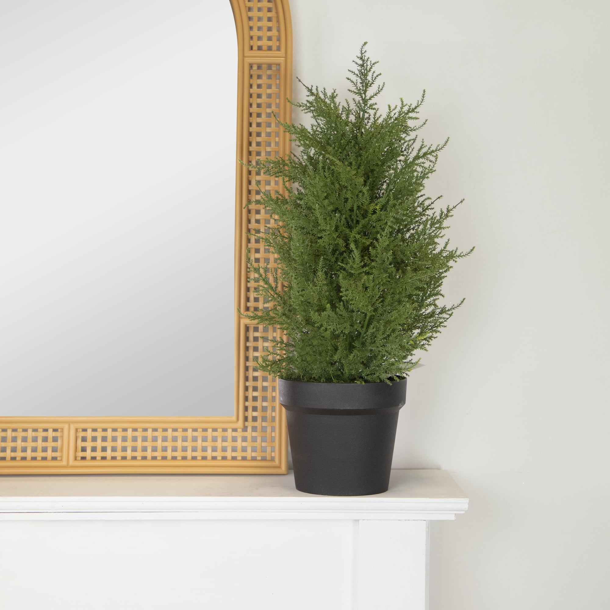 2' Artificial Cedar Pine Petite Arborvitae Tree in Round Pot  Unlit - 12