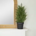 thumbnail image 2 of 2' Artificial Cedar Pine Petite Arborvitae Tree in Round Pot  Unlit - 12, 2 of 5