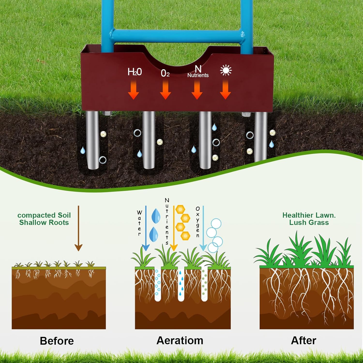 Manual Rolling Lawn Aerator with 38" Width, Heavy Duty Coring Tines and Removable Soil Catcher Tray