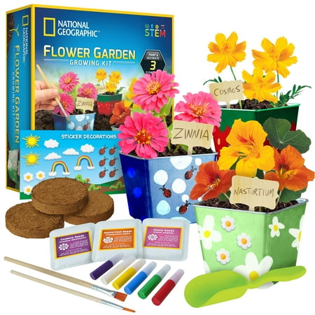 UPC: 0810070620318 | NATIONAL GEOGRAPHIC Flower Growing Gardening Kit for Unisex Children and Teens (Age Group: 6 to 12 Years)