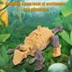 thumbnail image 4 of Figura de dinosaurio deformado ANGGREK Figura transformadora para niños, 4 of 8