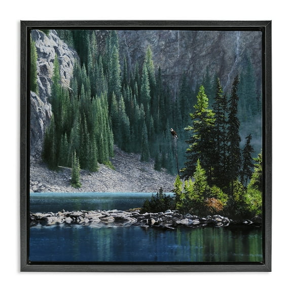 Stupell Industries Tree Spires in Nature Landscape & Nature Photography Black Floater Framed Canvas Art Print Wall Art, 18 x 18