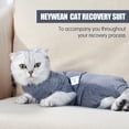 thumbnail image 4 of Bobasndm Cat Recovery Suit After Surgery for Female Male Pet Surgical Pajamas Long Sleeve Prevent Shedding Recovery Snugly Suit%26E Collar Alternative Onsies for Cats, 4 of 8