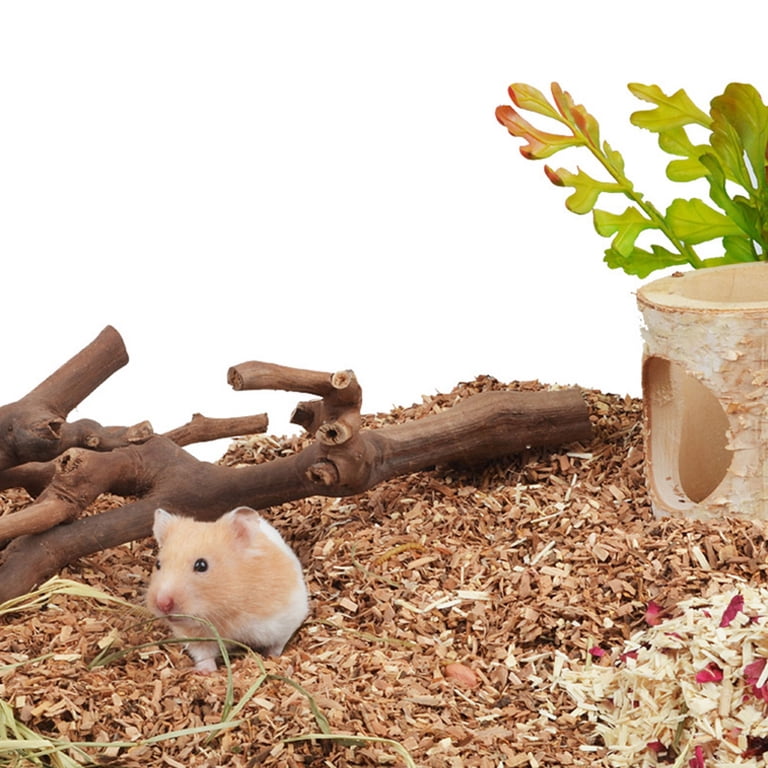 Small Pet Enrichment Branch, Natural Vine Cage Decor for Hamsters ...
