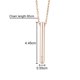 thumbnail image 2 of Collar de cremación de cilindro de acero inoxidable de recuerdo conmemorativo personalizado unisex Adepaton BST3008539-4, 2 of 6