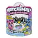 image 1 of Hatchimals HatchiBabies Koalabee, Hatching Egg with Interactive Toy, Baby Koala Pet, Walmart Exclusive, for Ages 5 and up