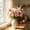 pink, variant on Artificial Flower Bouquet Mixed Floral Hand Tied Roses Hydrangea Chrysanthemum for Vase Home Wedding Party Living Room Dining Table Decor