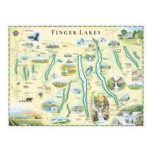 Xplorer Maps MAP_FLX Finger Lakes Hand-Drawn Map