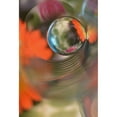 thumbnail image 3 of Westum, Heidi 13x18 Black Modern Framed Museum Art Print Titled - Floral Sphere, 3 of 5