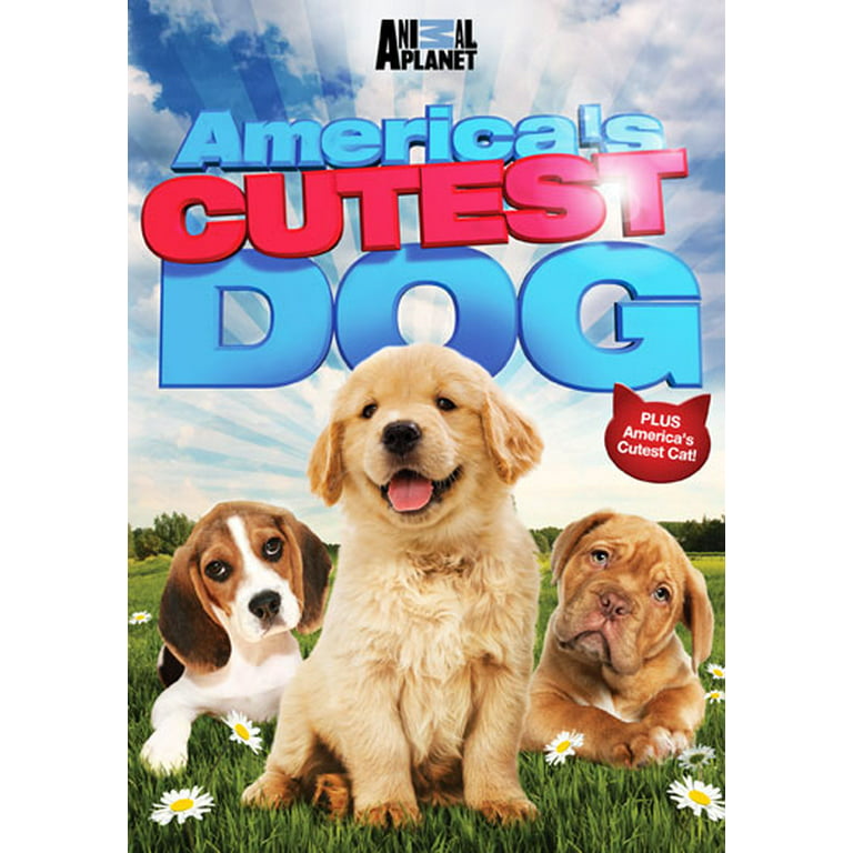 Pre-owned - America\'s Cutest Dog (DVD) - Walmart.com