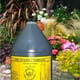thumbnail image 5 of Hydrofarm Super Bat Budswel Hydroponic Soil Organic Nutrient, 1 Gallon GUBS128CA, 5 of 5