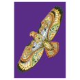thumbnail image 1 of Toland Home Garden Animal Spirits Hawk 28 x 40 Inch Decorative Native Spiritual Flying Bird Wing House Flag, 1 of 1