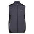 thumbnail image 1 of Regatta Mens Lankin IV Lightweight Gilet, 1 of 5