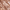 Medium, variant on Laura Geller New York Bronze-N-Brighten Bronzer, Fair, 0.32 oz