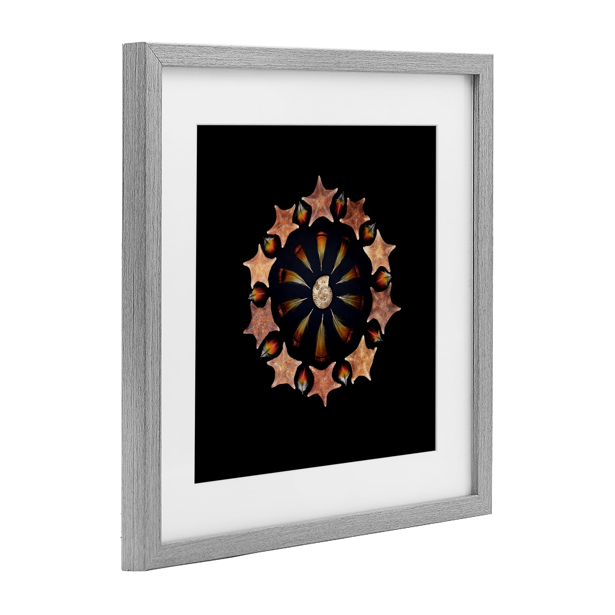 Stupell Industries Nautical Nature Arrangement Gray Framed Print Under Glass, design by Beth Adoette