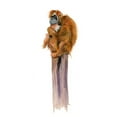 thumbnail image 3 of Shefranov, Olga 20x24 Black Modern Framed Museum Art Print Titled - Monkey, 3 of 5