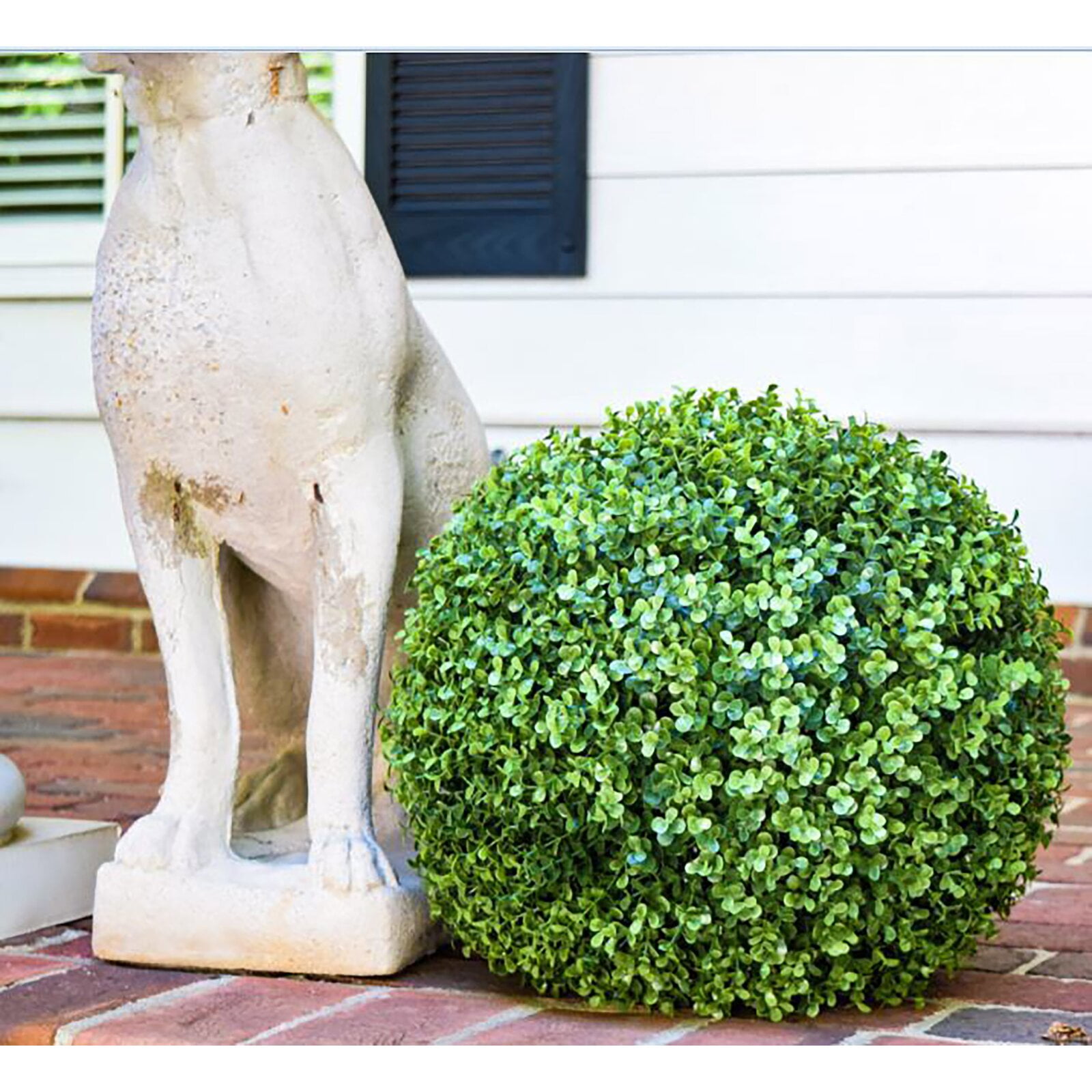 Floor Boxwood Topiary, Plant Type Details Faux boxwood, Plant Species