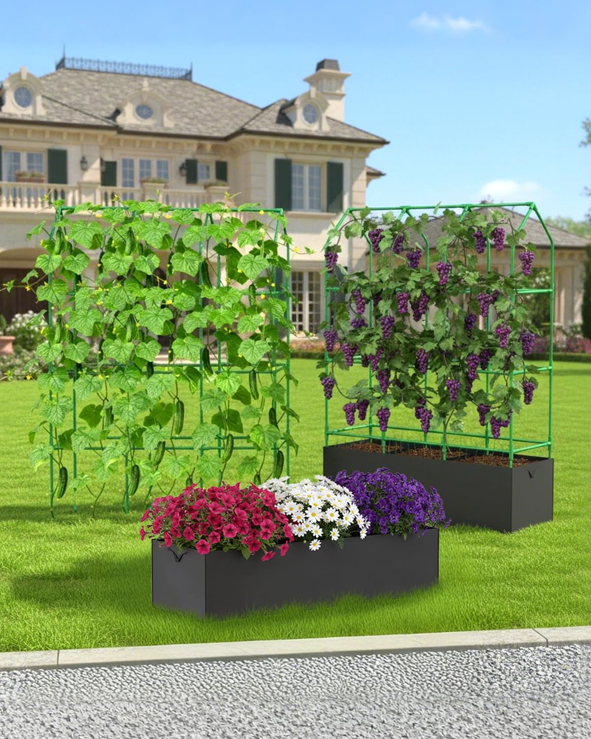 Cucumber Trellis For Climbing Plants Outdoor  A-shape Garden Raised Bed Metal Plant With Netting Flower Vegetables Pea Grape (50 * 17 65inch(l*w*h)