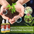 thumbnail image 2 of 2023 New Plant Growth Enhancer Supplement, Root Stimulator, Rooting Hormone For Transplant Rescue Disease Seedlings, 2 of 5