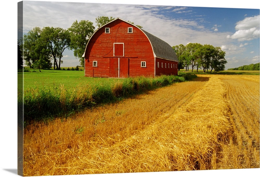 Great BIG Canvas "Barn, Myrtle, Manitoba, Canada" Canvas Wall Art