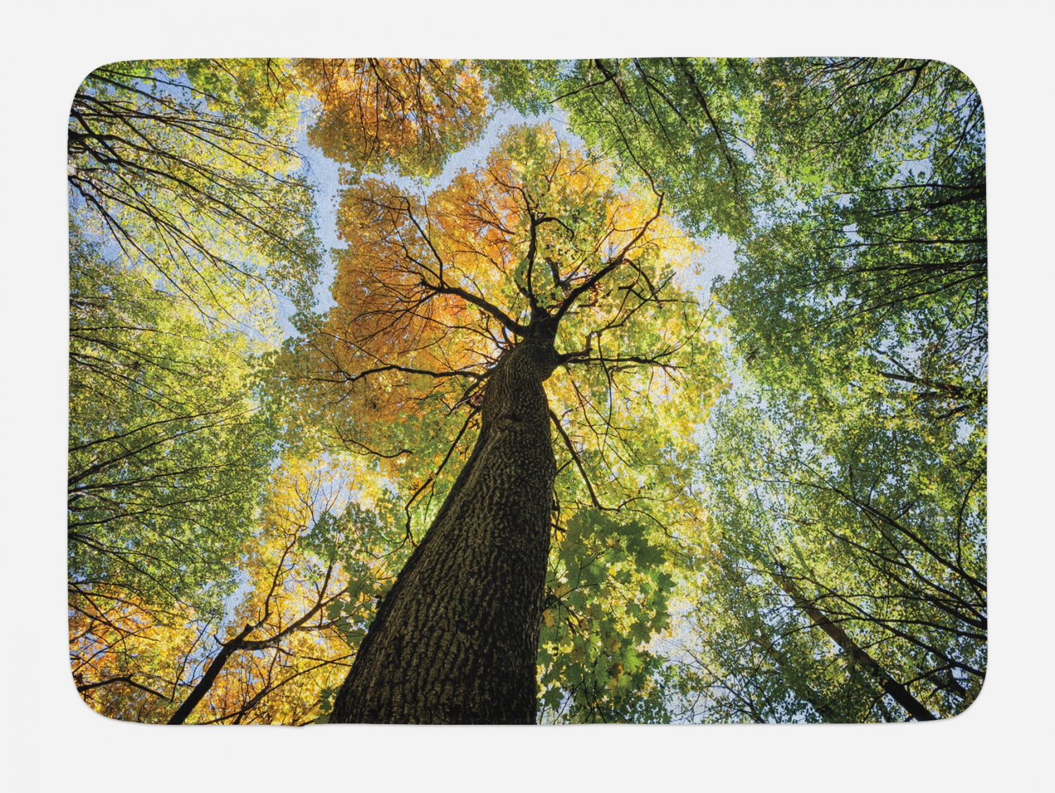 Tree Bath Mat, Ancient Forest in Autumn Green Nature Deciduous Foliage