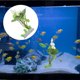 thumbnail image 4 of KAKOWELY Planta Simulada Para De Peces En Color Con Y Duradero, 4 of 6